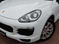 Porsche Cayenne 3.0 S E-Hybrid | 1e eigenaar | Trekhaak | Pano | L Alb - thumbnail 15