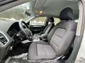 Audi Q5 2.0 tdi 150cv E6 Bianco - thumbnail 10