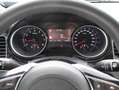 Kia Ceed / cee'd 1,5 TGDI Gold 48V DCT Grau - thumbnail 9