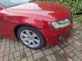 Audi A5 A5 Coupe 3.2 V6 fsi quattro Rosso - thumbnail 3
