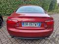 Audi A5 A5 Coupe 3.2 V6 fsi quattro Rosso - thumbnail 9