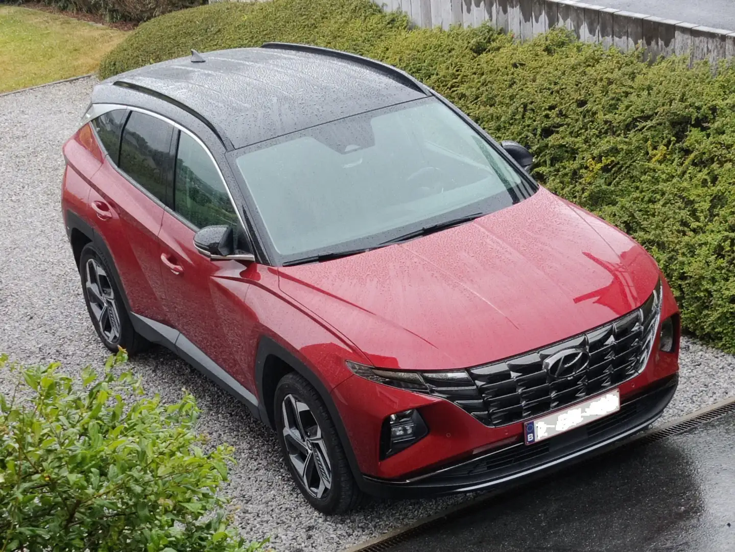 Hyundai TUCSON Tucson 1.6 T-GDi HEV Shine Rouge - 1