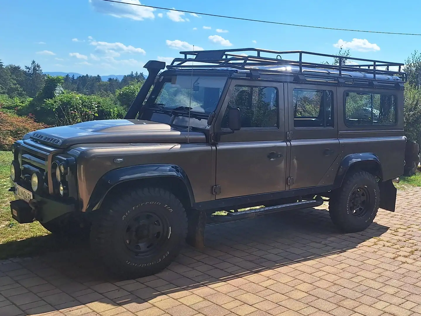 Land Rover Defender Defender 110 Braun - 1