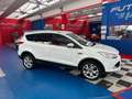 Ford Kuga 2.0 tdci Titanium 4wd s&s 163CV  Cambio Nuovo!! Bianco - thumbnail 4
