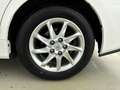Toyota Prius+ Hybrid 1.8 Executive Limited | Lederen bekleding | Weiß - thumbnail 22