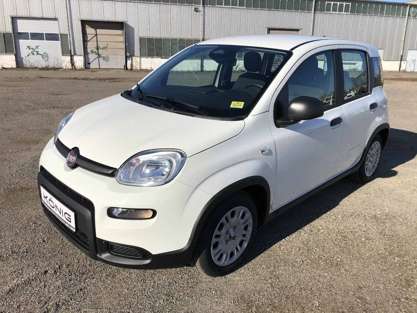 Fiat Panda MY24 1.0 Snow Klima PDC Citypaket Weiß - 1