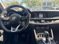 Alfa Romeo Stelvio PROMO FINANZIAMENTO 2.2 TD 190 CV AT8 Q4 Business Grigio - thumbnail 7