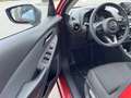 Mazda 2 1.5L e-SKYACTIV G 90ps MT HOMURA Rosso - thumbnail 7