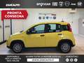 Fiat Panda 1.0 FireFly S&S Hybrid Geel - thumbnail 1