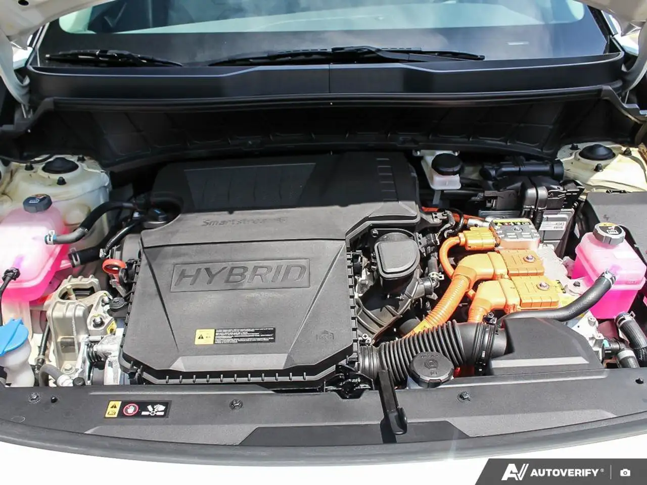 Kia Niro photo Kia Niro