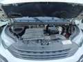 Iveco Daily 35S16 2.3hpi FRIGO FRC -20 GRADI Blanco - thumbnail 16