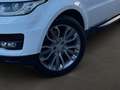 Land Rover Range Rover Sport Range Rover Sport 3,0 TDV6 HSE Dynamik-Paket Blanc - thumbnail 8
