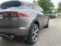 Jaguar E-Pace E-Pace P200 - AWD - BVA Gris - thumbnail 11