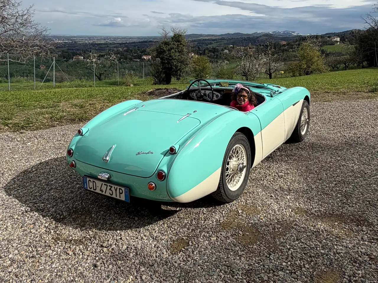 Austin-Healey 100 BN2 100/4, foto 7