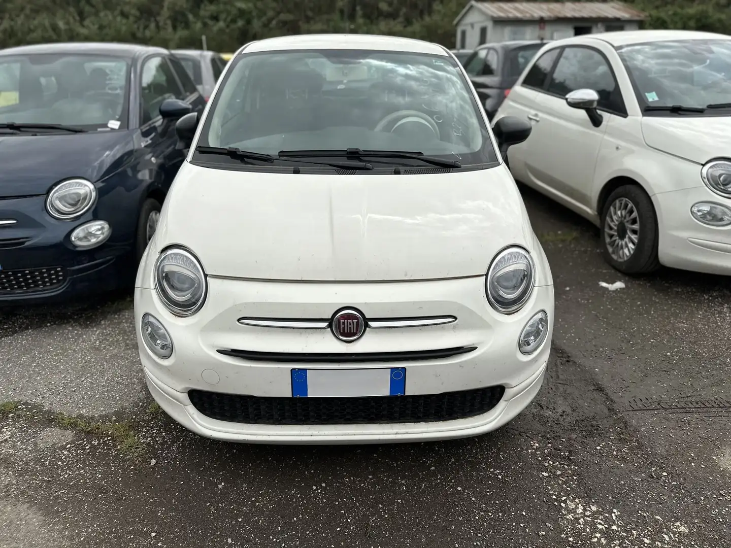 Fiat 500 500 1.0 hybrid 70cv Blanc - 2
