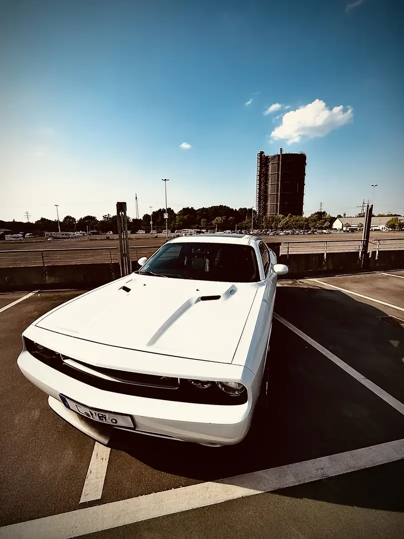 Dodge Challenger R/T V8 Bianco - 2