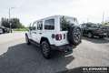Jeep Wrangler PHEV MY23 Sahara Білий - thumbnail 7