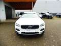 Volvo V90 Cross Country V90 B4 Cross Country Plus AWD Weiß - thumbnail 2