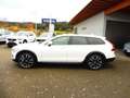 Volvo V90 Cross Country V90 B4 Cross Country Plus AWD Weiß - thumbnail 3