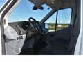 Ford Transit 350 L2 Trend/Werkstattausbau/Navi Weiß - thumbnail 11
