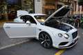 Bentley Continental GT Deportivo Automático de 3 Puertas Blanco - thumbnail 19