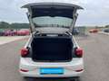 Volkswagen Polo 1.0TSI Goal DSG Kamera Grau - thumbnail 12