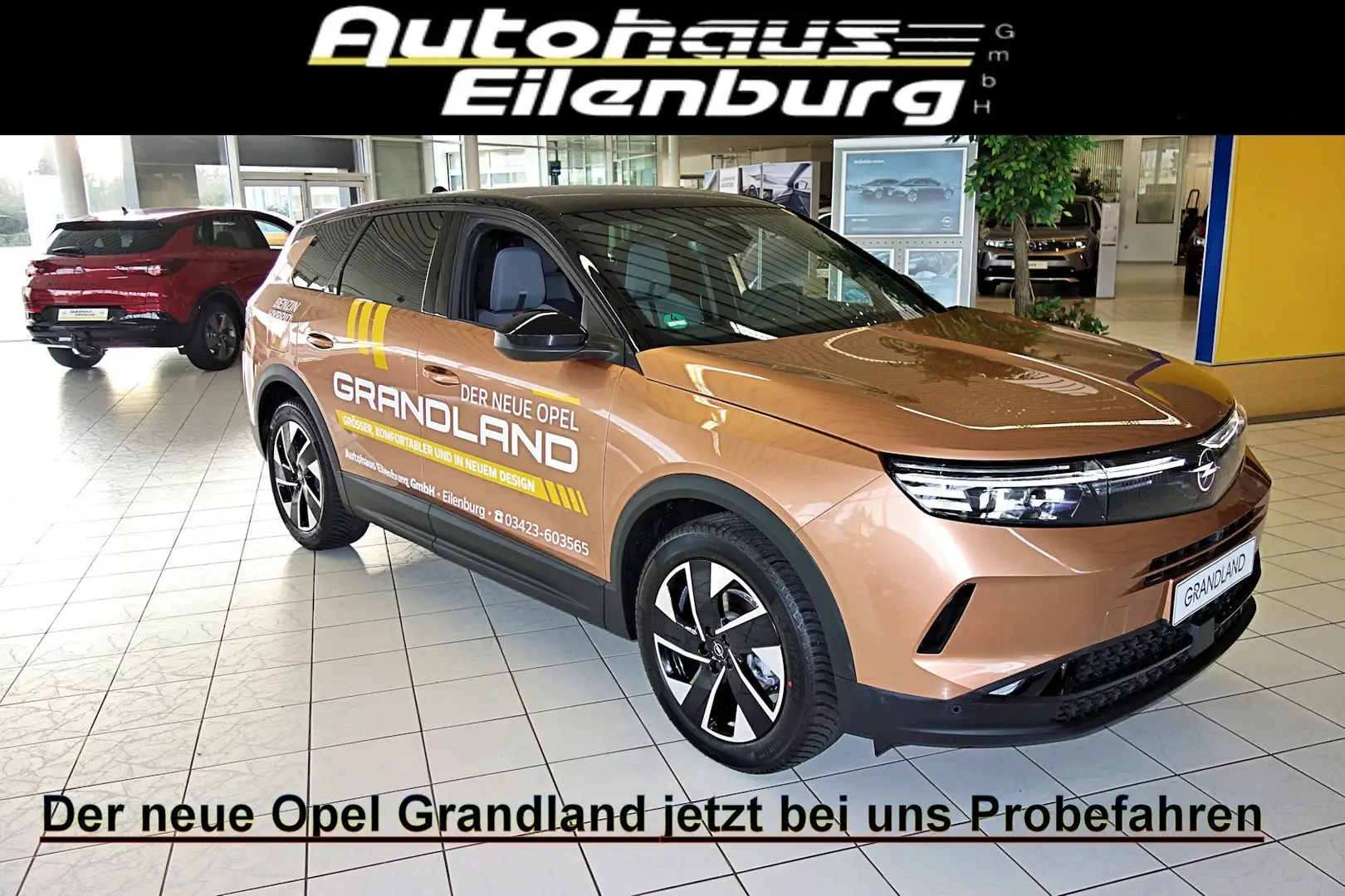Opel Grandland B GS 1.2 LED-Matrixl,360°Kamera,Heat UP Display Bej - 1