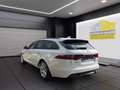 Jaguar XF Sportbrake R-Sport UNFALL-Fahrzeug Wit - thumbnail 3