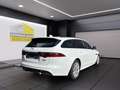 Jaguar XF Sportbrake R-Sport UNFALL-Fahrzeug Wit - thumbnail 5