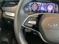 Skoda Octavia Selection TSI mHEV DSG Grau - thumbnail 16