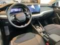 Skoda Octavia Selection TSI mHEV DSG Grau - thumbnail 14