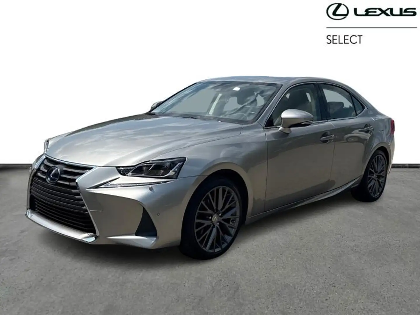 Lexus IS 300 Privilege Line & Roof & Mark L Gris - 1