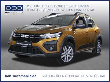 Stepway Expression 90 CVT NAVI SHZ PDC