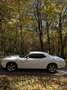 Dodge Challenger Automatik SXT Plus - thumbnail 5