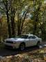 Dodge Challenger Automatik SXT Plus - thumbnail 4