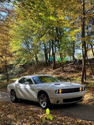 Imagine Dodge Challenger Automatik SXT Plus