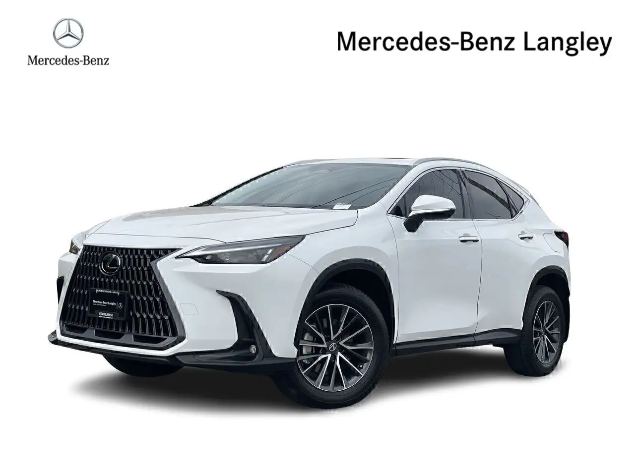 2026 Lexus NX