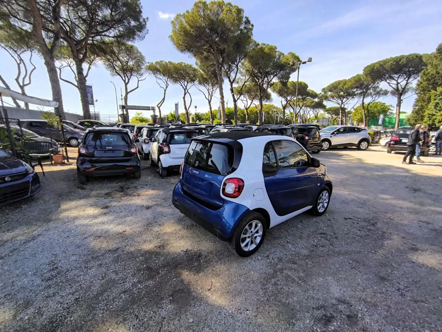 smart forTwo 1.0cc 71cv BLUETOOTH CRUISE SENSORI PARCHEGGIO Blu/Azzurro - 2