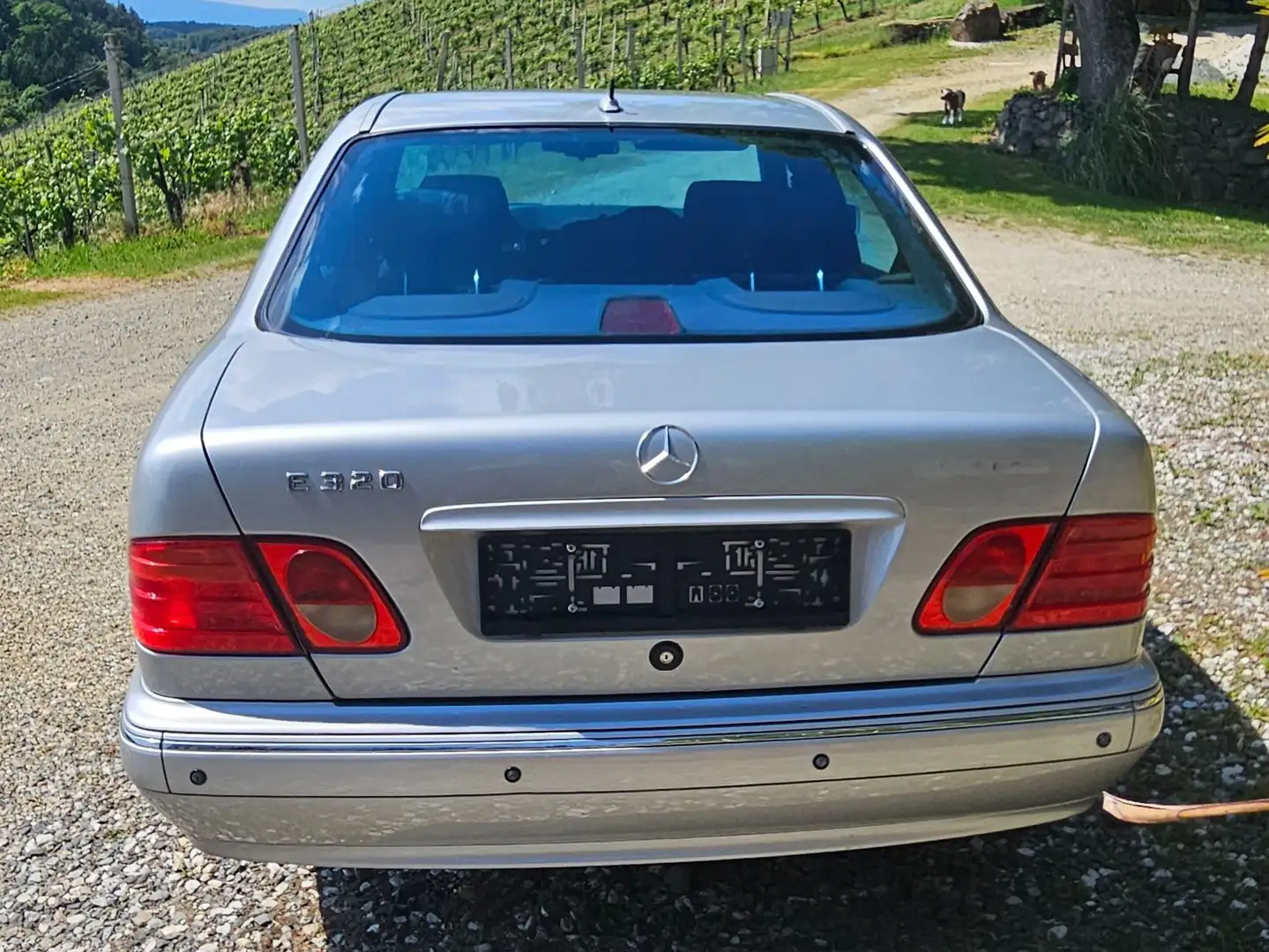 Mercedes-Benz E 320 Avantgarde Aut. Silber - 2