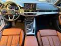 Audi A4 allroad 40 TDI 190 CV S tronic Business Evolution Bianco - thumbnail 11