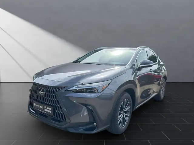 Lexus NX 350h Business Line Sitzklima Connect, 360°