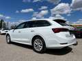 Skoda Octavia Combi 2,0 TDI Style DSG | NP: €46.500 Weiß - thumbnail 5