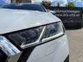 Skoda Octavia Combi 2,0 TDI Style DSG | NP: €46.500 Weiß - thumbnail 37