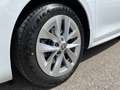 Skoda Octavia Combi 2,0 TDI Style DSG | NP: €46.500 Weiß - thumbnail 38