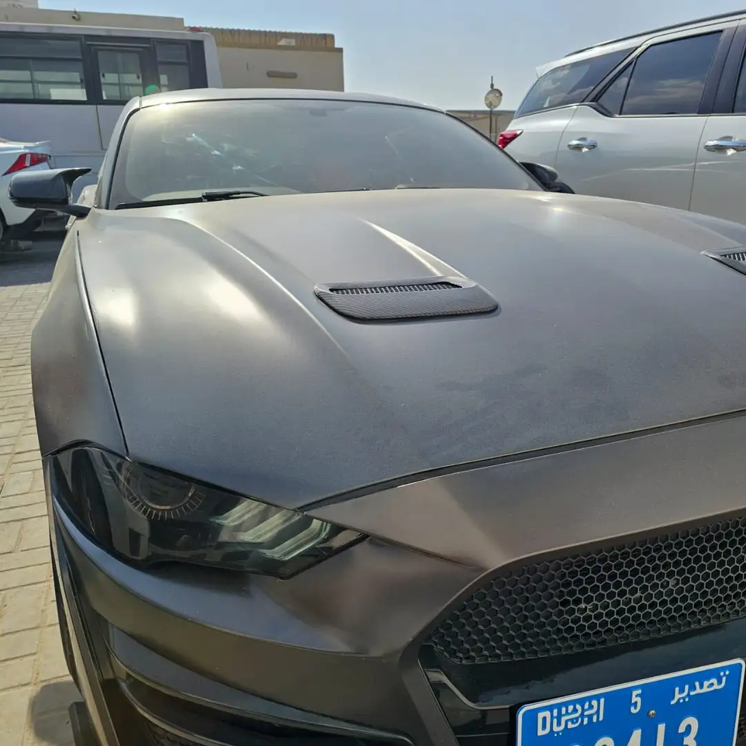 Ford Mustang Fastback 5.0 Ti-VCT V8 Aut. GT - 2