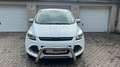 Ford Kuga Trend/Klima/2.Jahre Tüv/AU Blanc - thumbnail 11