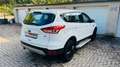 Ford Kuga Trend/Klima/2.Jahre Tüv/AU Blanc - thumbnail 16
