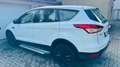 Ford Kuga Trend/Klima/2.Jahre Tüv/AU Blanc - thumbnail 17