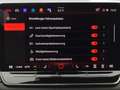 Volkswagen Tiguan 2.0 TDI DSG GOAL LED+ KAMERA LM18 AHK Grün - thumbnail 12