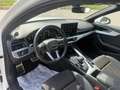 Audi A4 Avant 40 TDI S line quattro/Matrix/AHK/Standhei Weiß - thumbnail 8